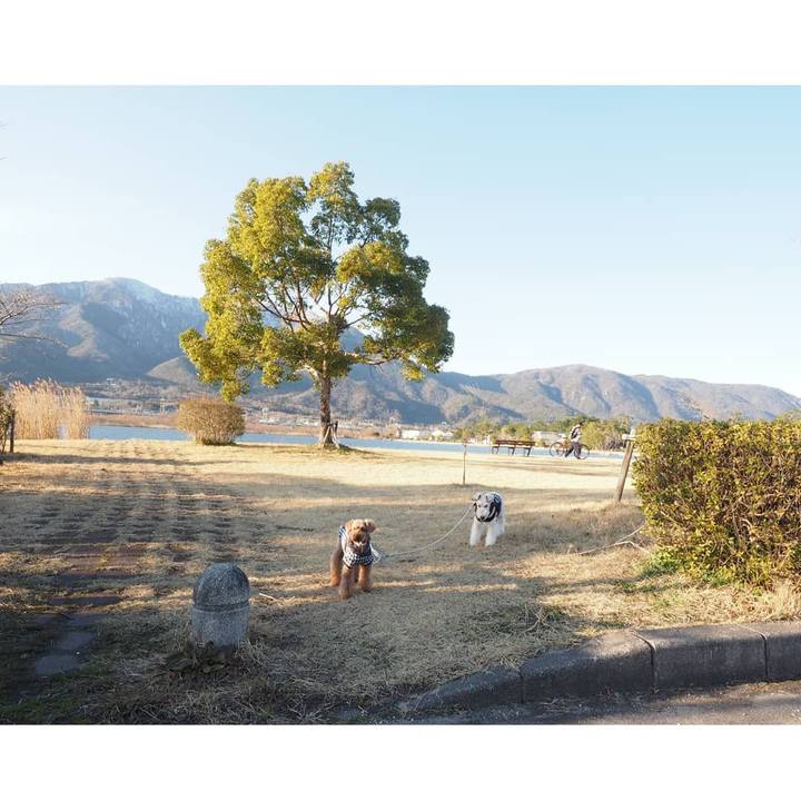 3074fdc2 ca6f 4671 a5b0 e7db5178bd26 1581424120749