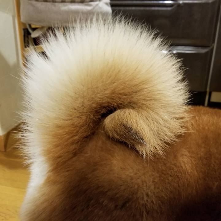 30755a21 1703 4368 b643 1b0309fdfd90 1555840171186