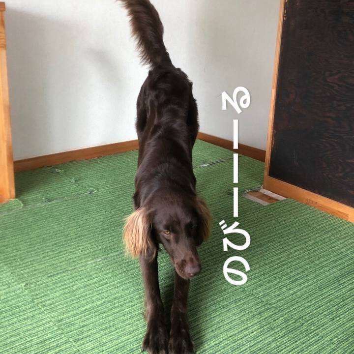 30757d04 c7eb 44b9 a0a0 f028ed97e9e8 1592554422097