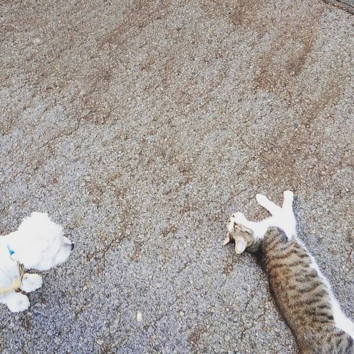 30757ebb 0e58 41a7 b315 4cd4c5cc83d3 1535966227897