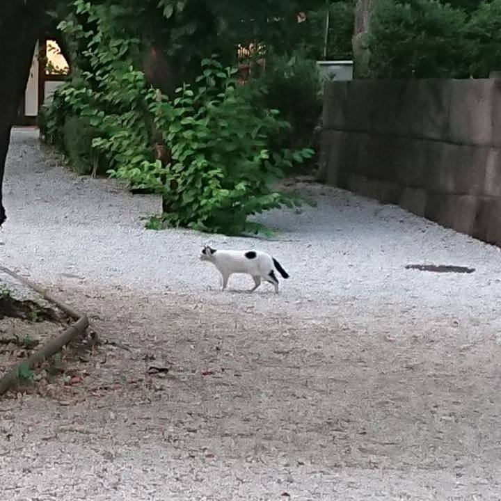 307580be 6e9c 4880 ace3 0c5db7a8d488 1656933711934