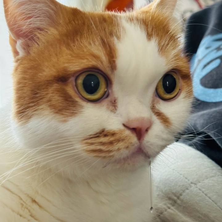 307582b2 acfd 48fb bbd4 9ba3272a83bb 1766215498749