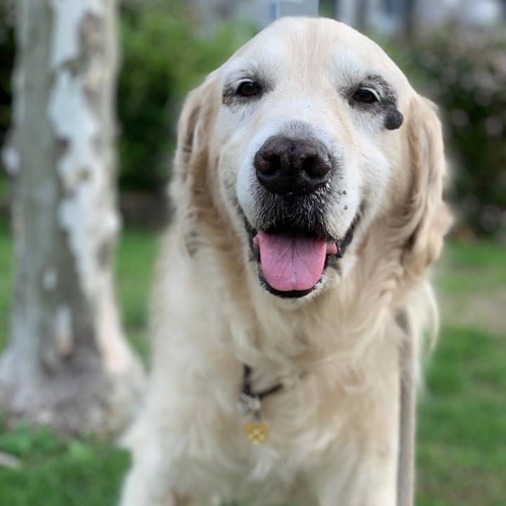 3075891b e509 49e5 885d c48e66b6ebc2 1604367058385