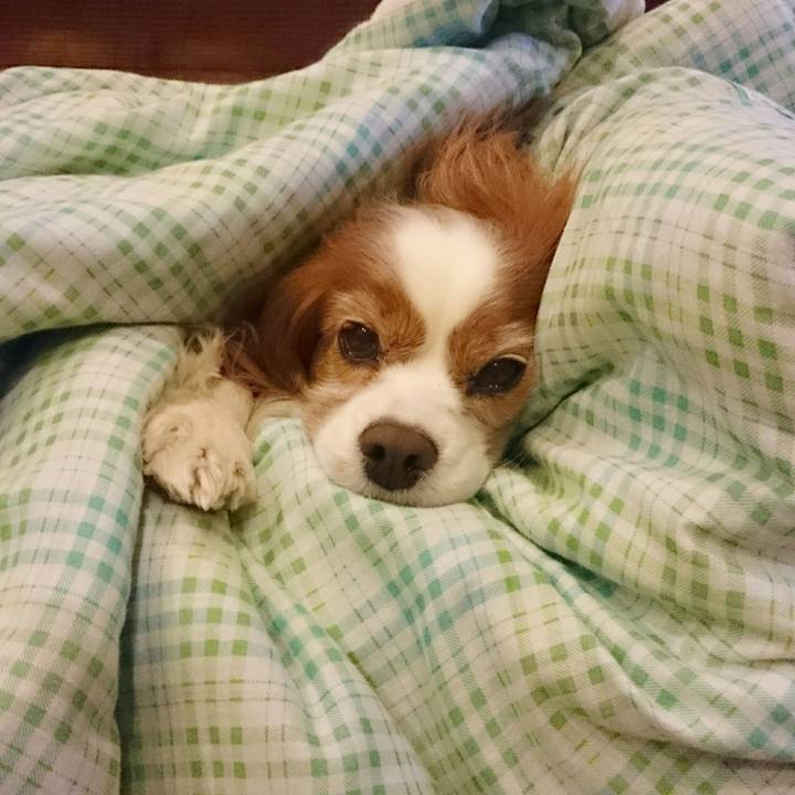 3075993f e632 460c 9fd5 cb9275d78462 1518790278654