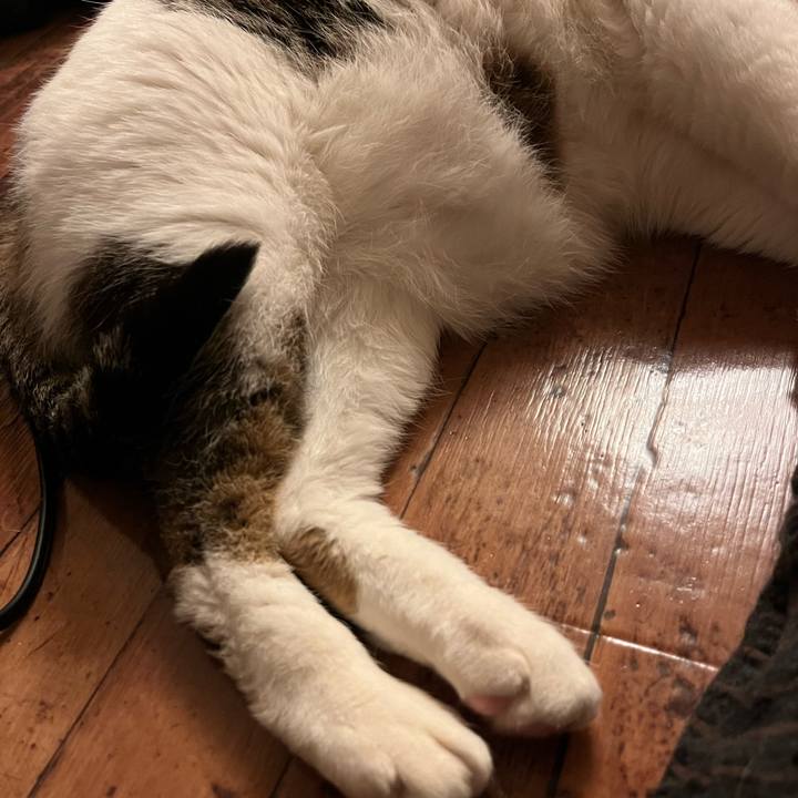 3075ec2d 9525 4f1e 9b94 39596429fa8e 1647229660864