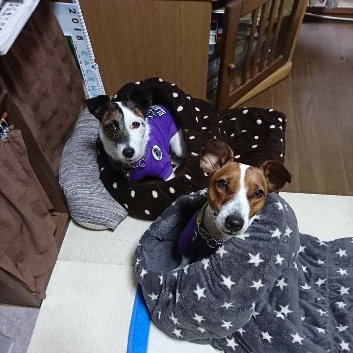 3075ed1c 85b4 4c2c 93ad e819eb7b0667 1585431934387