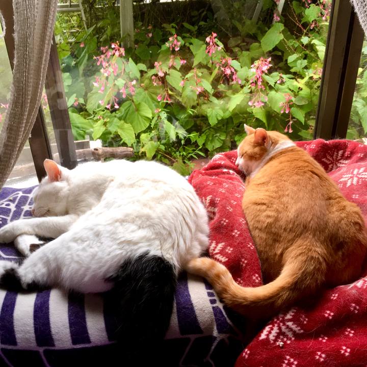 30762d12 3ec8 47ff aa4e 56a6dd25abaf 1601713244534