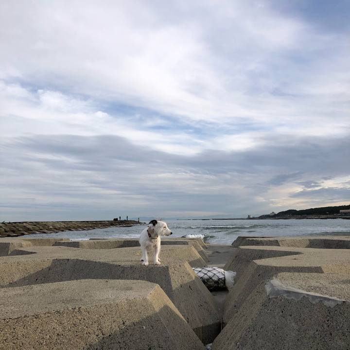 307632a7 eafe 435a 8a6e 8793a87e44f1 1606259276609