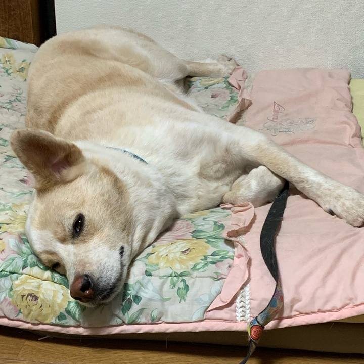 30763977 0931 4395 a6a9 5b9a9ca762f1 1564152009665