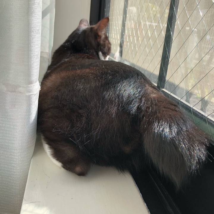 30763e5d 96d7 4127 badb 1f083d15ecf2 1522464721218