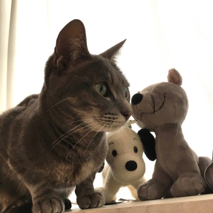 307641c4 c54f 4b46 a6e8 62e5051e55c6 1578794729109