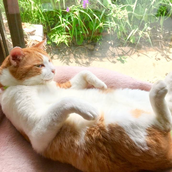 30765dc9 f7e7 4693 934a 08c50f919561 1560135013374