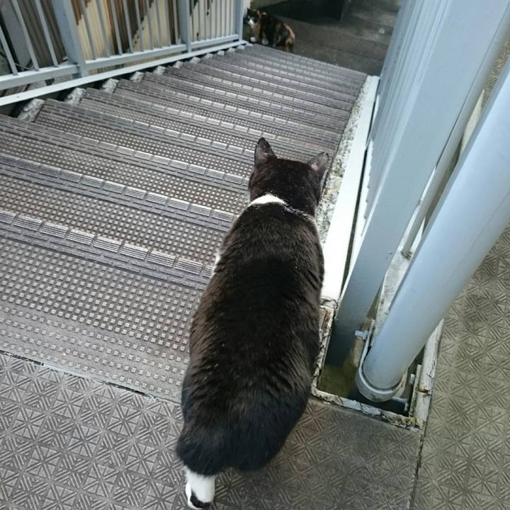 30767346 c3e7 4420 bc1b 98d26ac6ea42 1508973411005