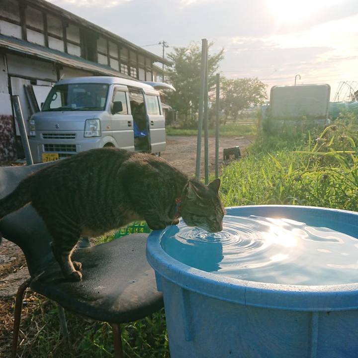 3076cdc2 49a6 4f63 a117 d719da08d3f9 1660085580279