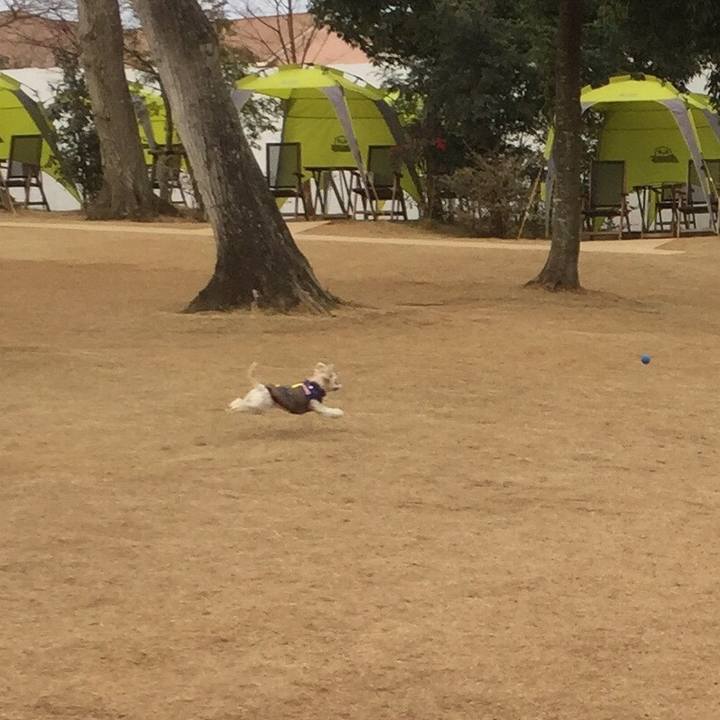 3076d6b9 3b23 43e9 9c36 6b3f29466030 1515151215100