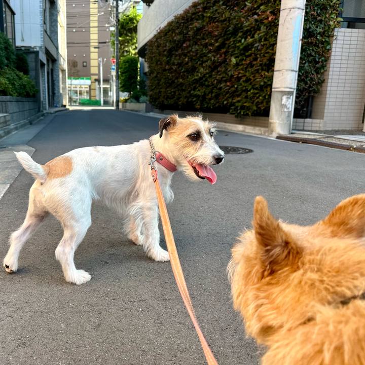 30771fd3 2bff 4377 8ca6 dc5f65a186ec 1714744335026