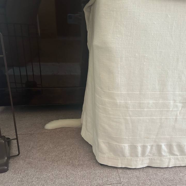 307752f0 ab28 40f5 9430 3a35d6a7d613 1728019314593