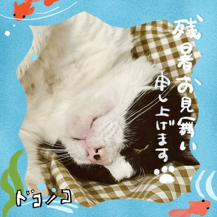 30776460 3bd4 43fc a15a d0843e82739f 1723695108296