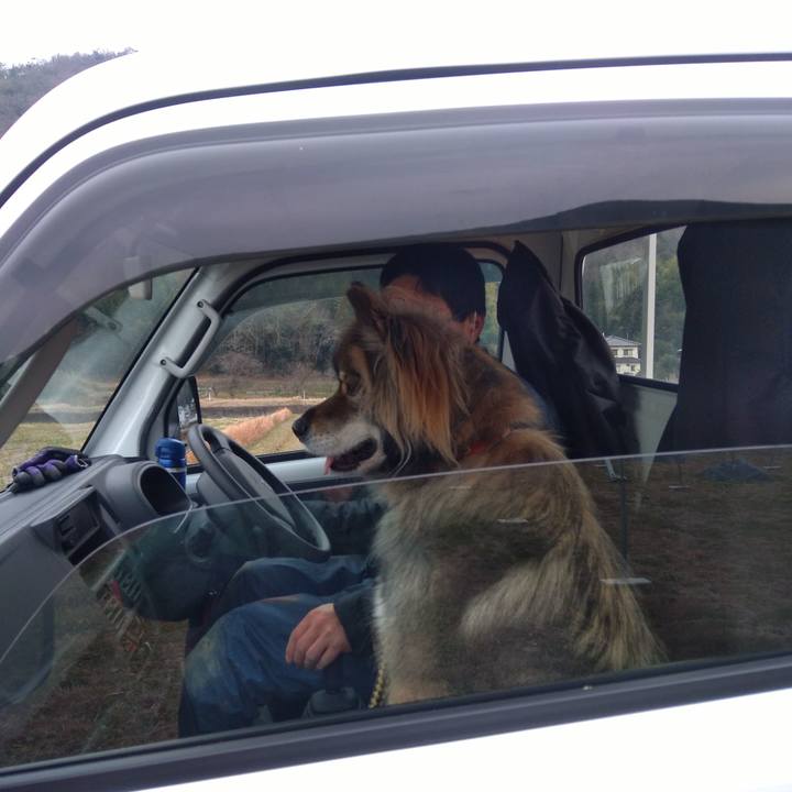 307774d9 726b 42b8 8395 f15d63d33343 1588006161494