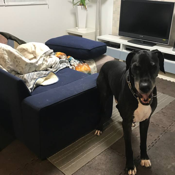 30778c6f bff6 4f7e bc97 571c160ab313 1511175929091