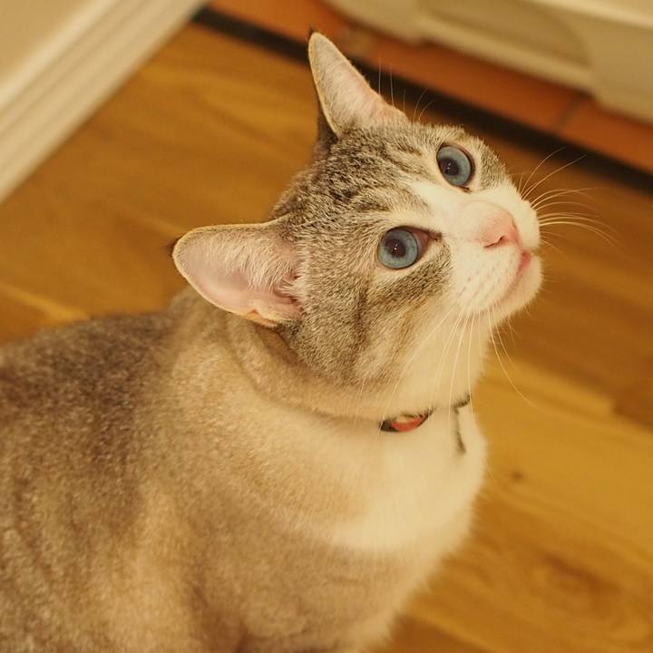 3077c449 d798 4336 8931 3c031ffb6afa 1594988662662