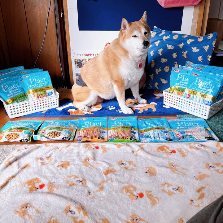 30781e36 00c9 4047 a2f4 49ceb34f7eac 1672286580736