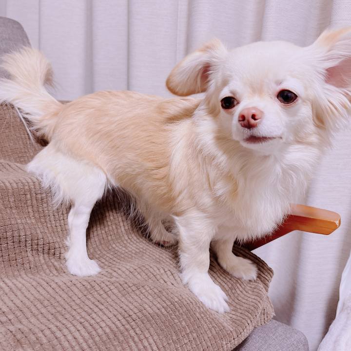 30784a16 283e 4122 beed 470b35b3cff7 1676466534564