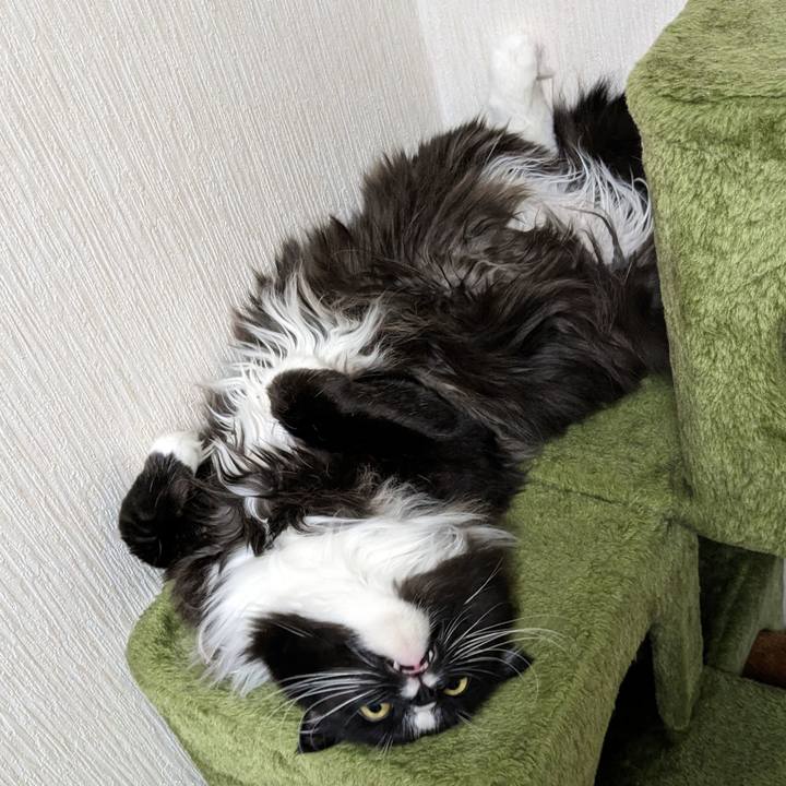 307861c9 c2f6 483e 99cf 4d9fb27557e5 1678367940843