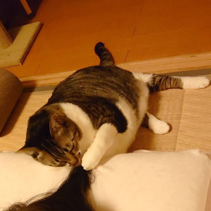 30786942 1f56 46b8 b565 c2835e14bc82 1608644980412