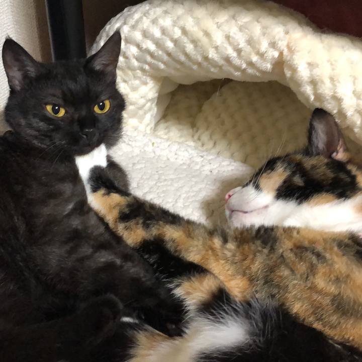 30787270 d45f 4f46 abcf 8510d489c3b1 1623189685457