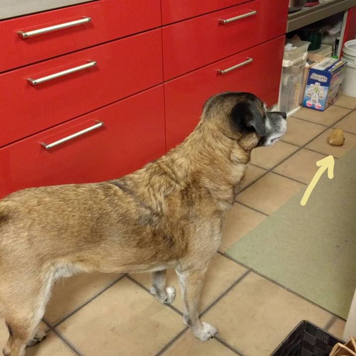 3078f7f3 7619 4f56 8785 bbe23b79deb1 1706231270629