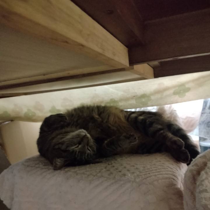 3079159a d173 4e52 ac8e 0ad1cf61de3f 1678573596736