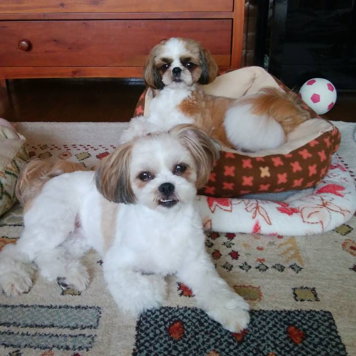 30792b17 2a38 4d7c 9e5d 0c6c9fd370e8 1564141554603