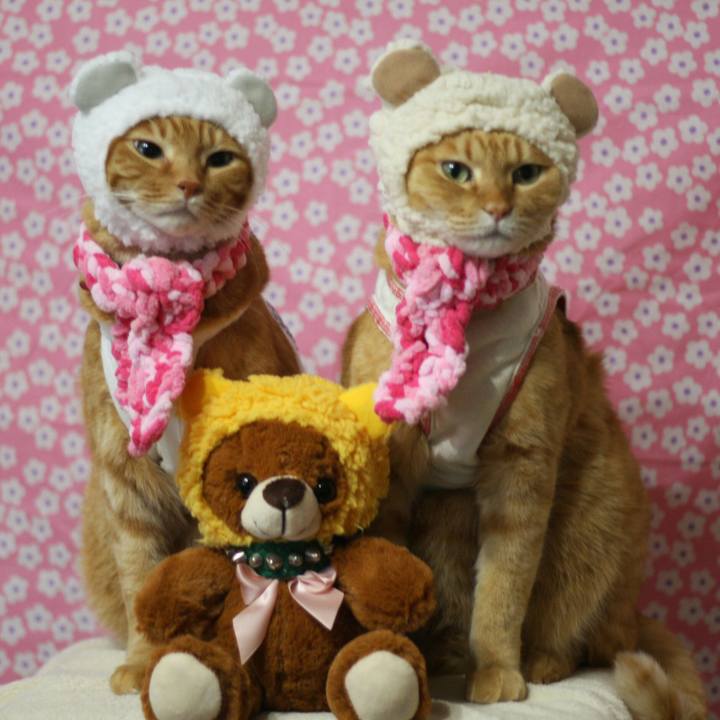 3079318b ea84 4654 b314 790082a06d8c 1516025305211