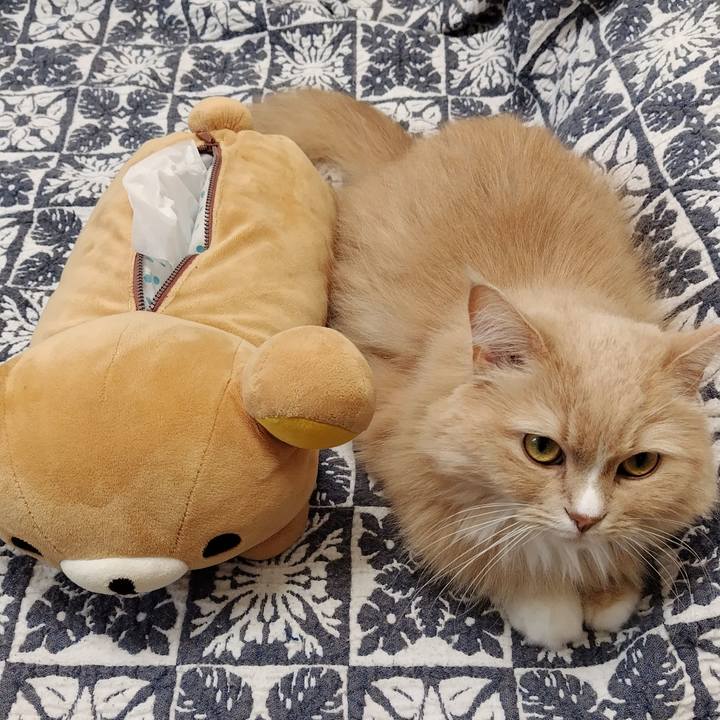 307935a5 48d1 4cad a2d9 99c0647eb4c8 1737861065783