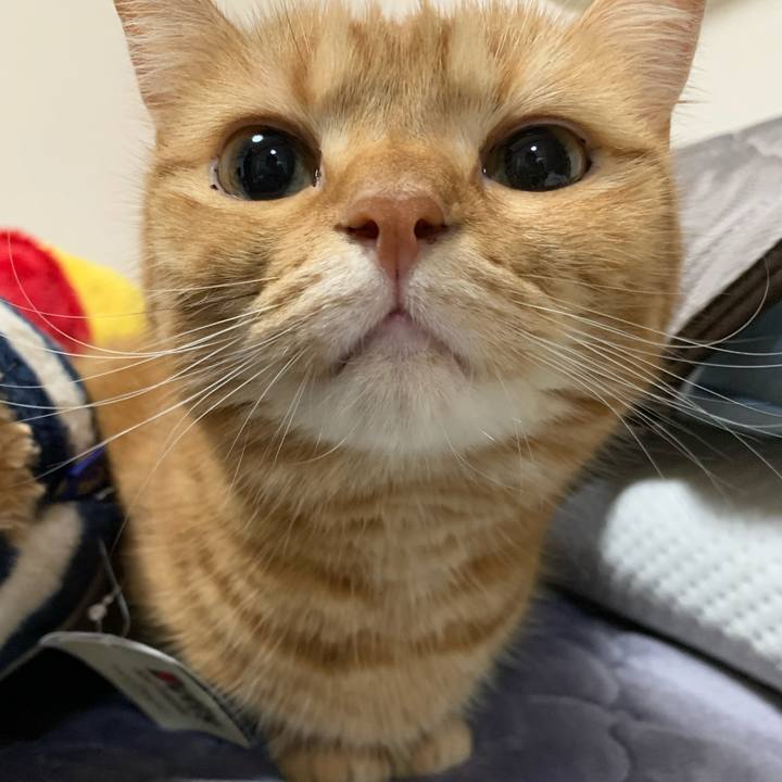 30794a8c 8cca 4430 a58d a1827fee963f 1633133033764