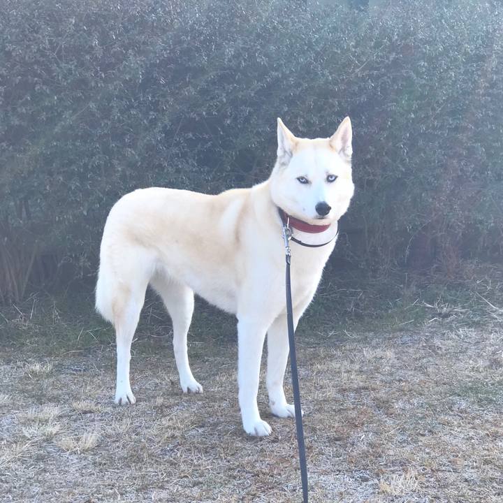 30796647 9bd8 474e 8a83 7267e11a5b6e 1516065146640