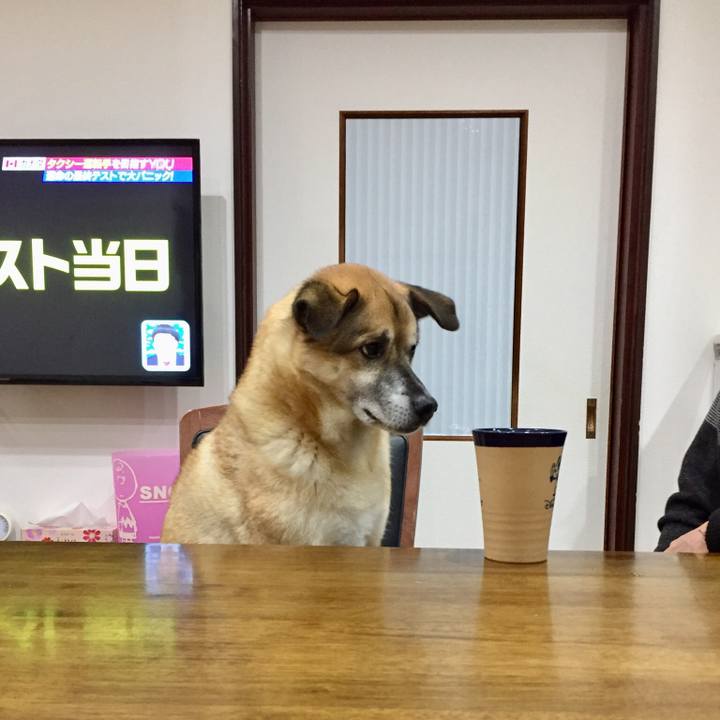 30796cf7 4f40 4824 aa8b 6b9e4af8293c 1548067047540