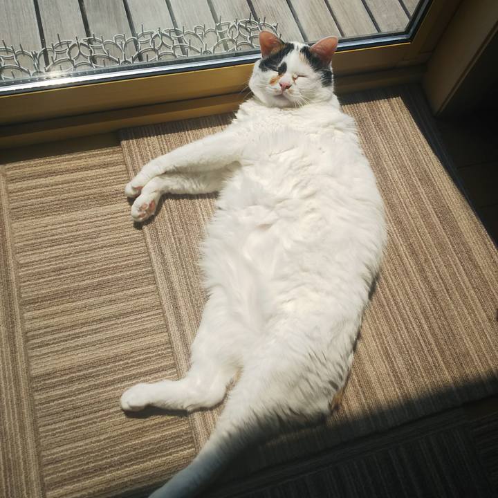 3079b9e7 4e96 4e7d 89c0 bef0016cf8dc 1557561191042