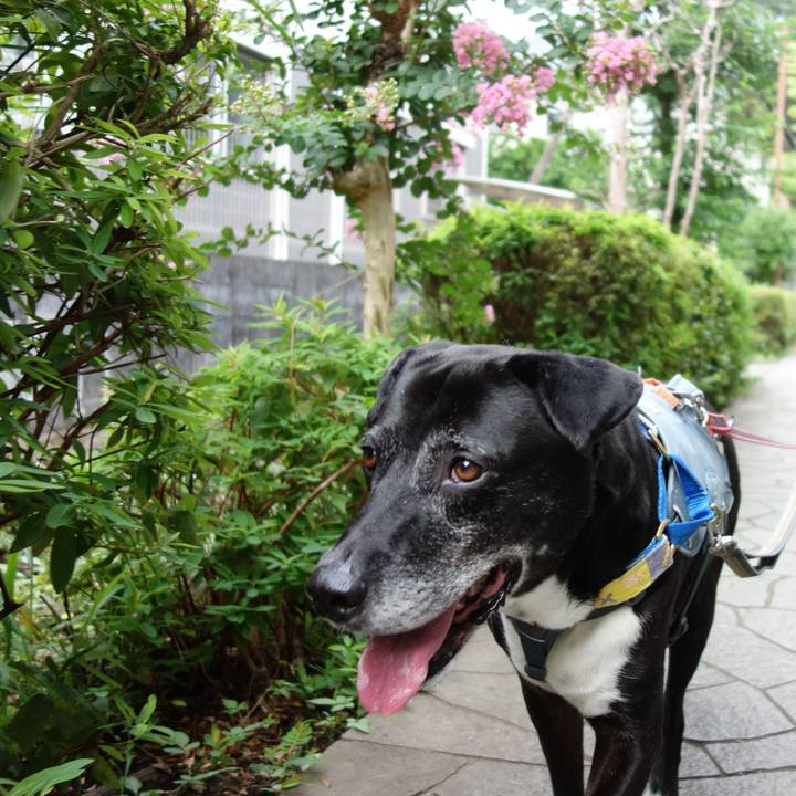 3079c5de 949b 408b a55f 7e9bf7bf7e97 1752364158171