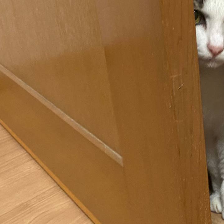 3079d391 f881 40b8 9aa5 8b8da6ec1d46 1596808753526