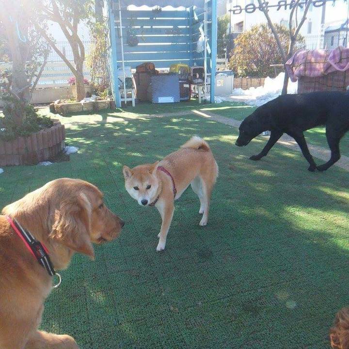 3079ecfd c718 4f43 9bc4 a08be2b74217 1519173975003