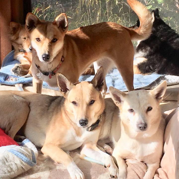 307a0043 82dc 4354 8181 d8fca0d0090c 1547553903179