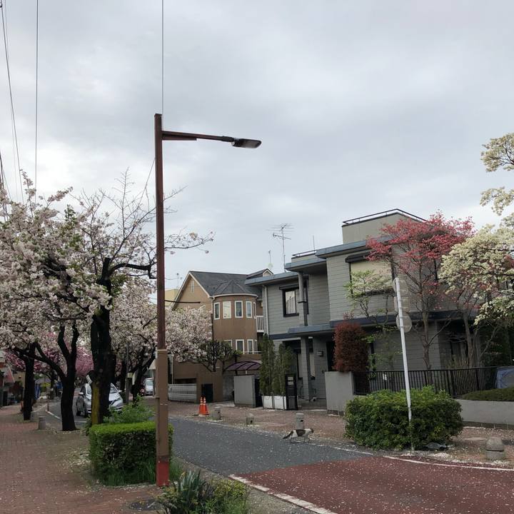 307a09fe e3d8 43c4 99d6 a33a8f438b68 1523205369097