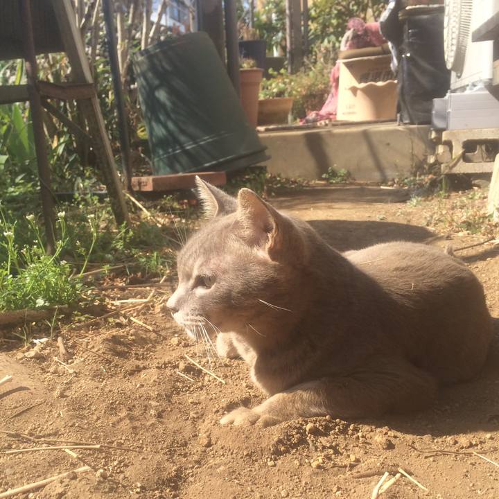 307a1370 0325 4558 b68c 932d3b925108 1552787543323