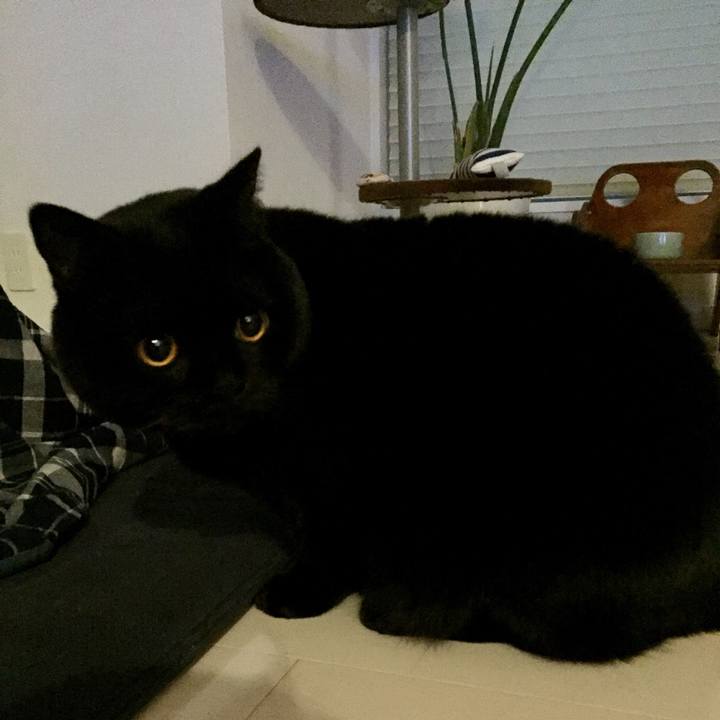 307a18cd f923 4503 9aff ad743574bf20 1580466918048