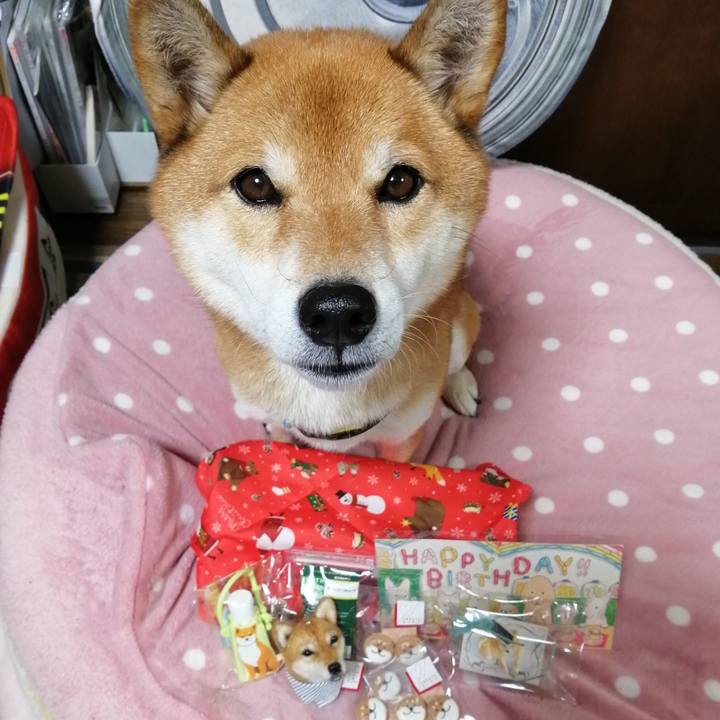 307a5c83 e863 45e4 96a9 c6f417c4c381 1607070411397