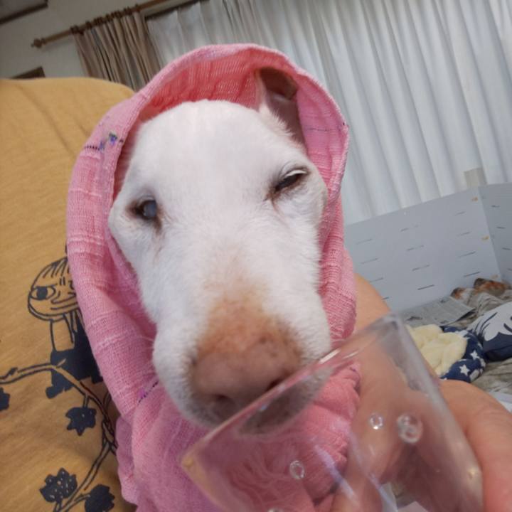 307a6961 ce33 4d86 837e 68fc4943be0a 1590799240872