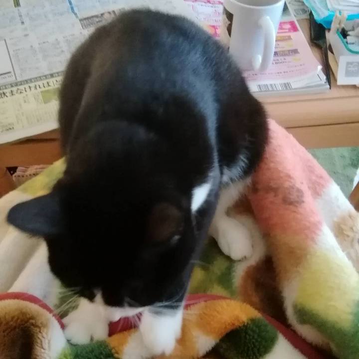 307a7d87 528e 4b29 bfed b377fb4eefb3 1572401699006