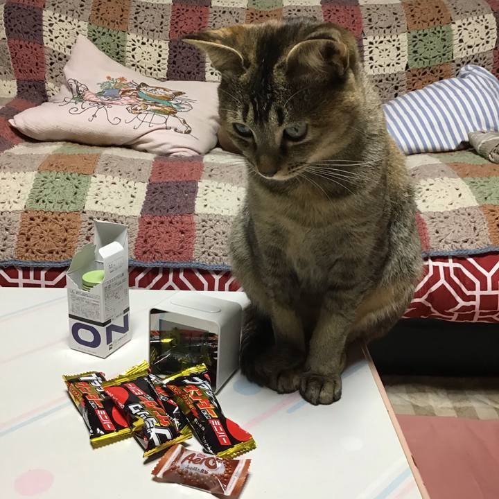 307a924d e291 4b40 83a0 25b981905d65 1578048268489